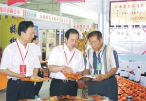 原安陽市市長董永安、副市長陳明今到公司調(diào)研